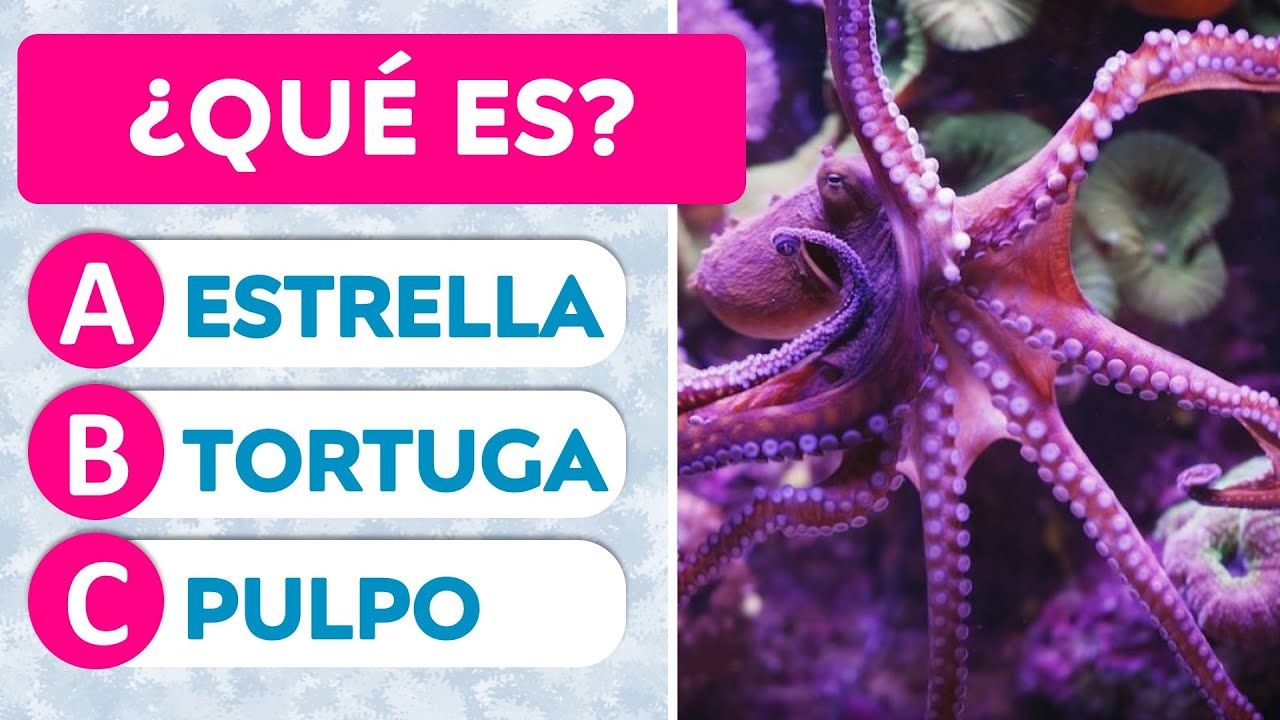 adivinanzas para niños de 6 años