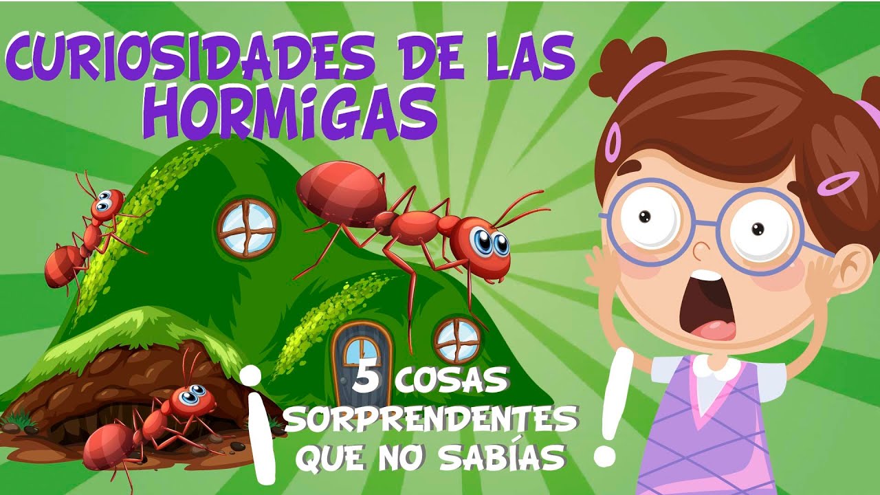 caracteristicas de las hormigas para niños