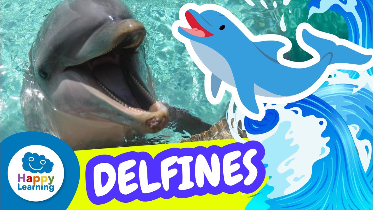 curiosidades de los delfines para niños