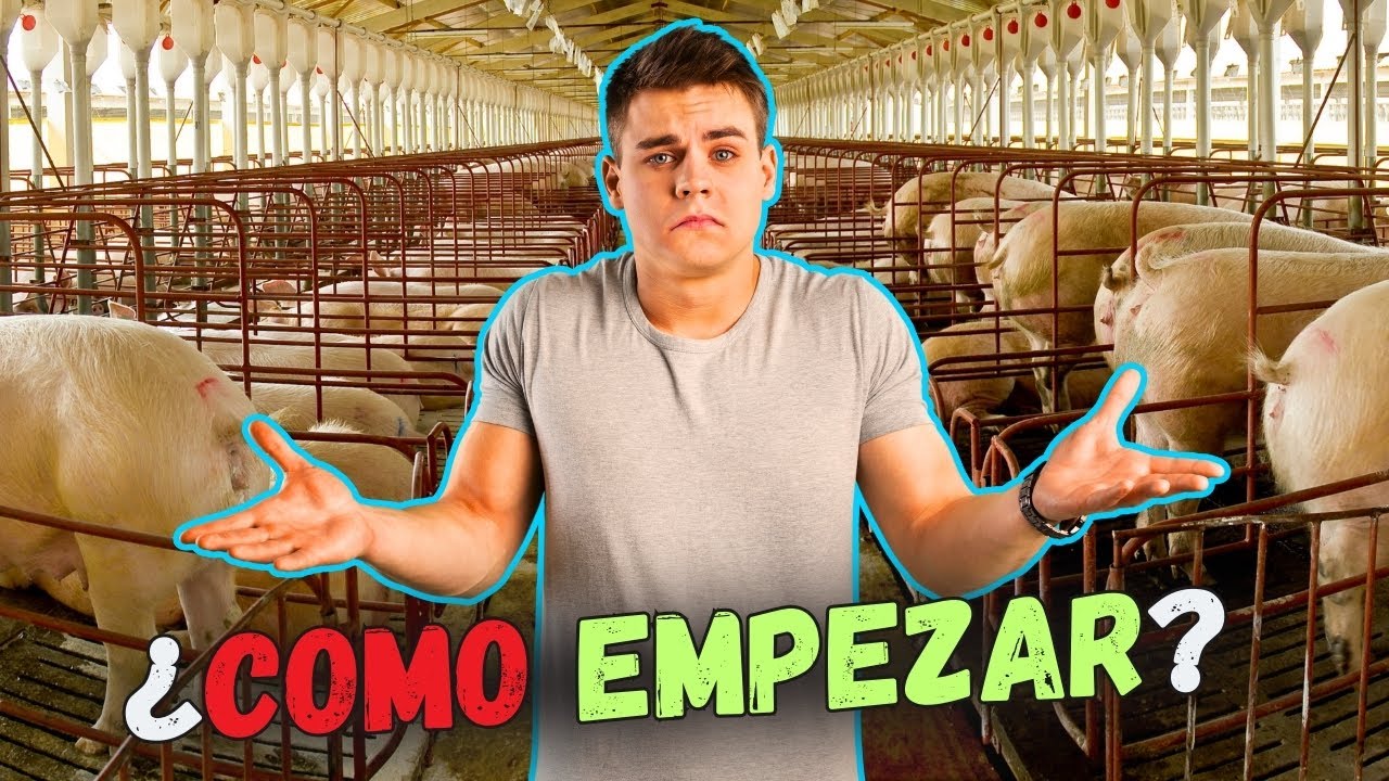 de dónde salen los puerquitos al inicio de la obra