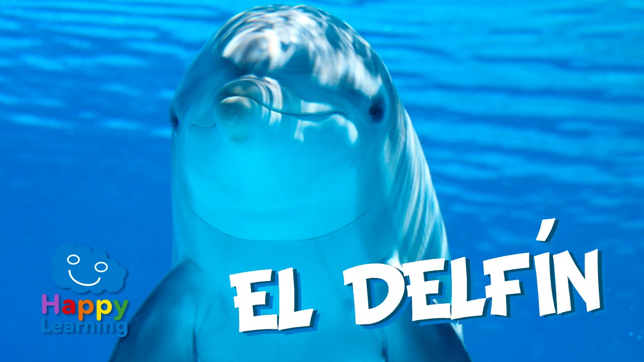 de qué color son los delfines