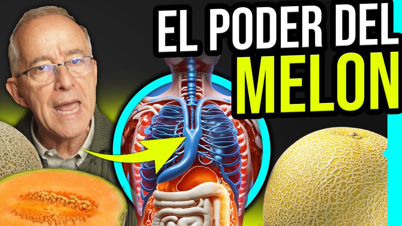 el melon es fruta o verdura