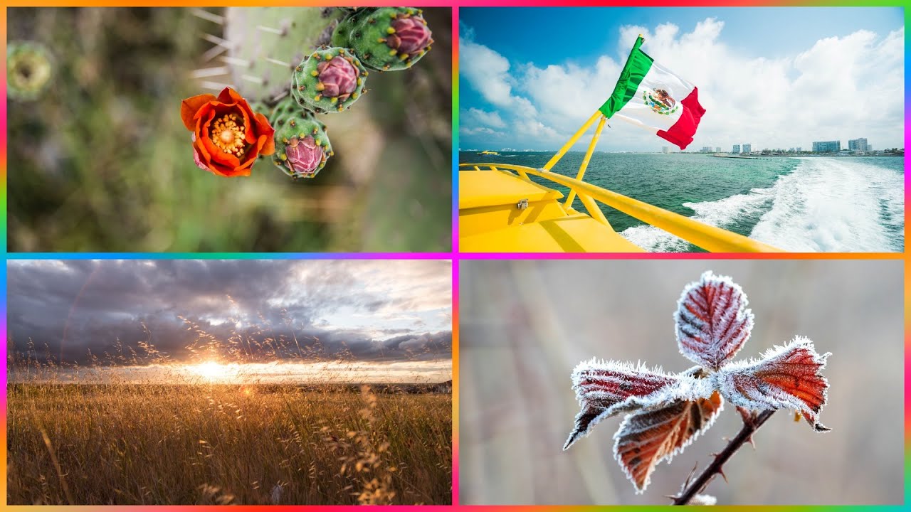 en que estación del año estamos en méxico