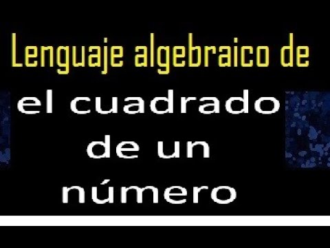 la mitad del cuadrado de un numero