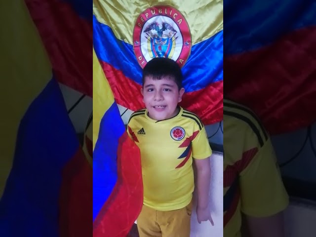 los significados de los colores de la bandera