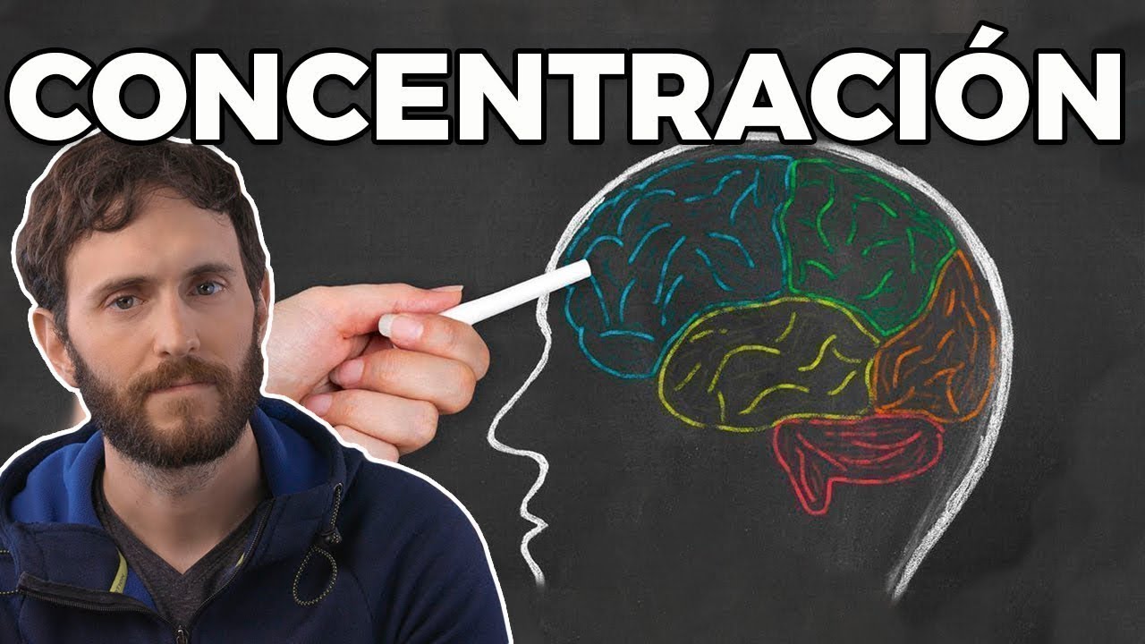 nos ayudan a centrar nuestra atención en ideas importantes