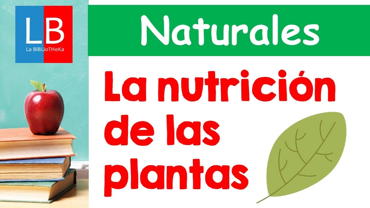 nutrición de las plantas para niños