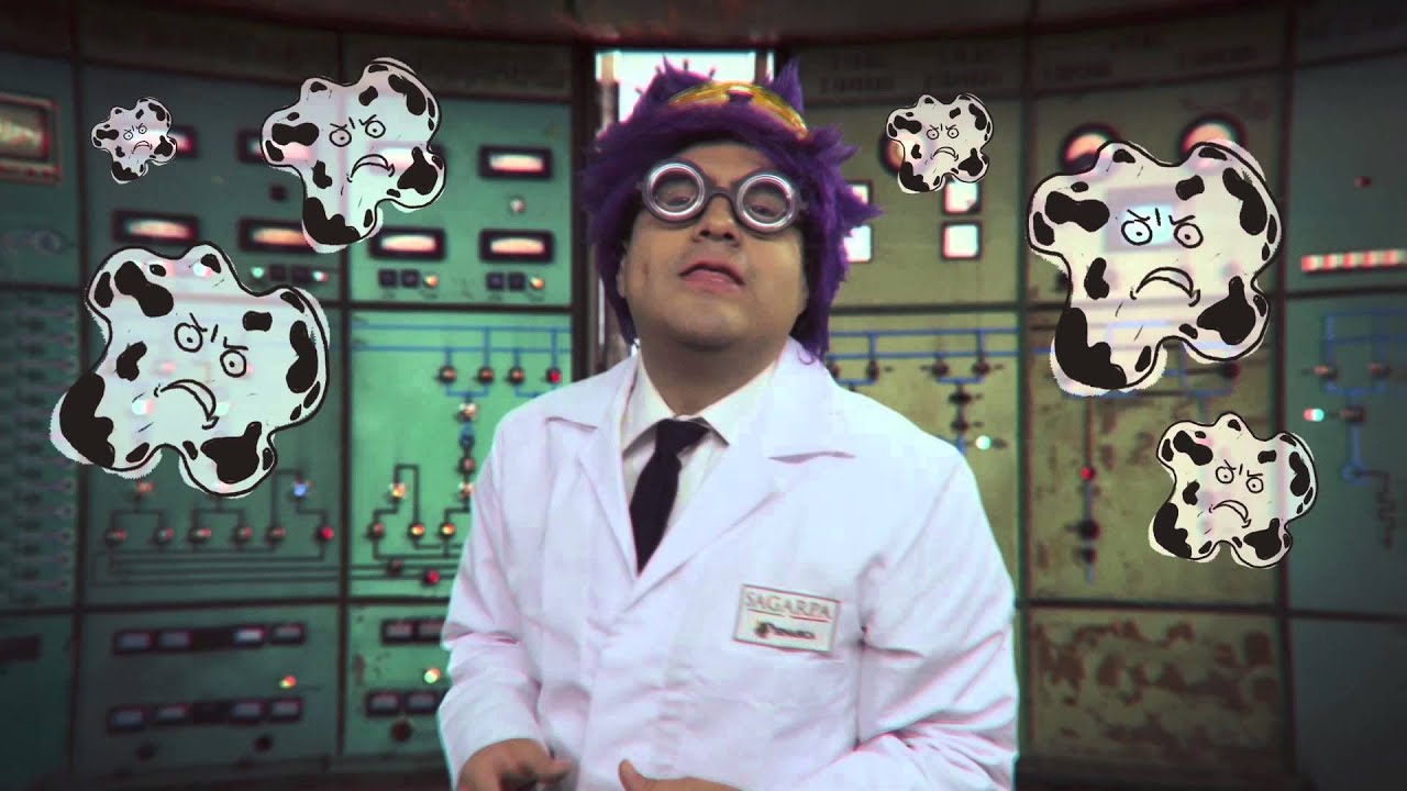 por que se descomponen los alimentos