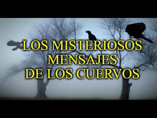 que ocurre cuando el cuervo comenzo a cantar