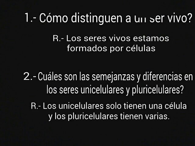 respuestas de aprende en casa secundaria