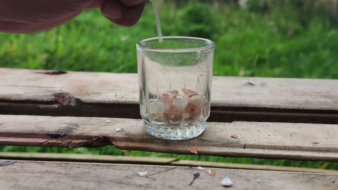 1 4 de cascaron de huevo