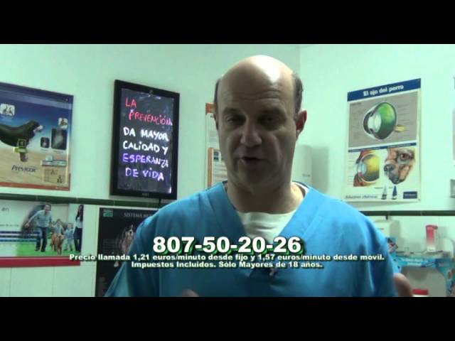 a los cuantos años se puede cruzar un perro