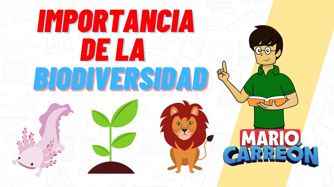 actividades sobre la biodiversidad para primaria
