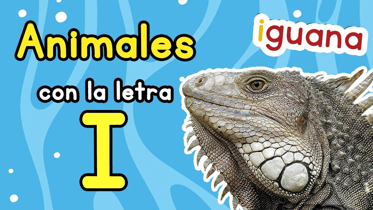 animales que inicien con la letra i