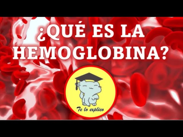 cual es la funcion de la hemoglobina