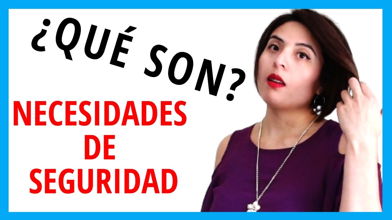 cuales son las necesidades de seguridad
