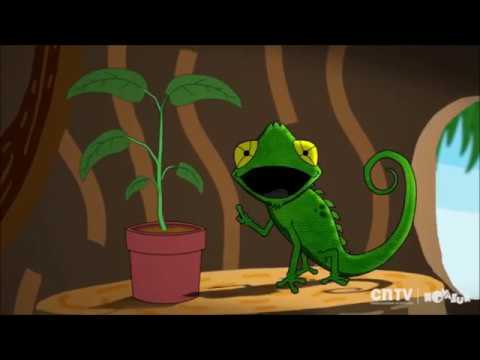 de qué se alimentan los árboles