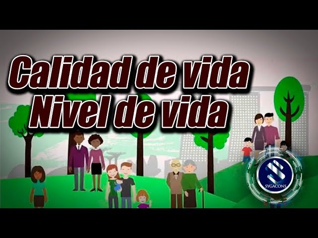 diferencia entre calidad de vida y nivel de vida
