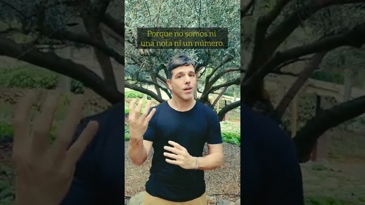 eres el profe que te hubiera gustado tener