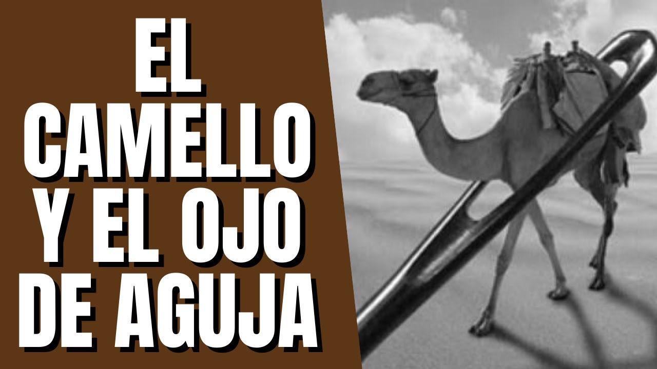 es mas facil que entre un camello