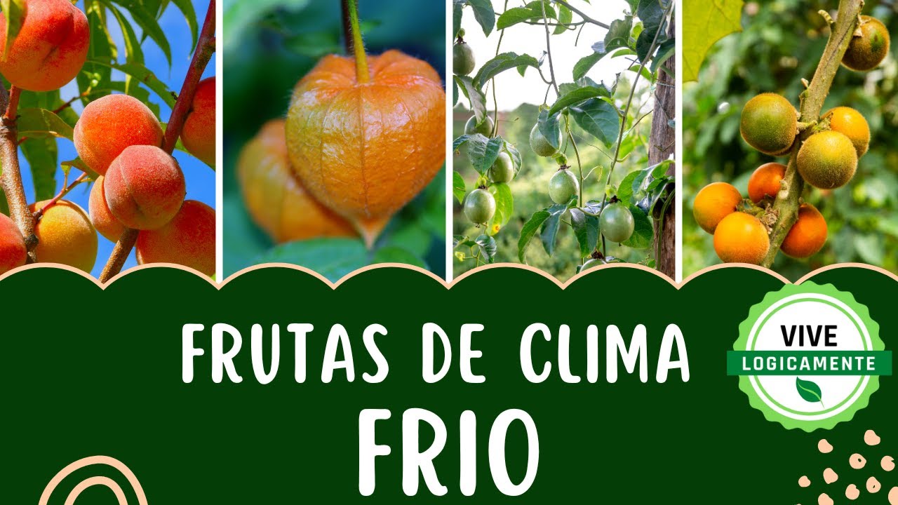 frutas que se dan en invierno