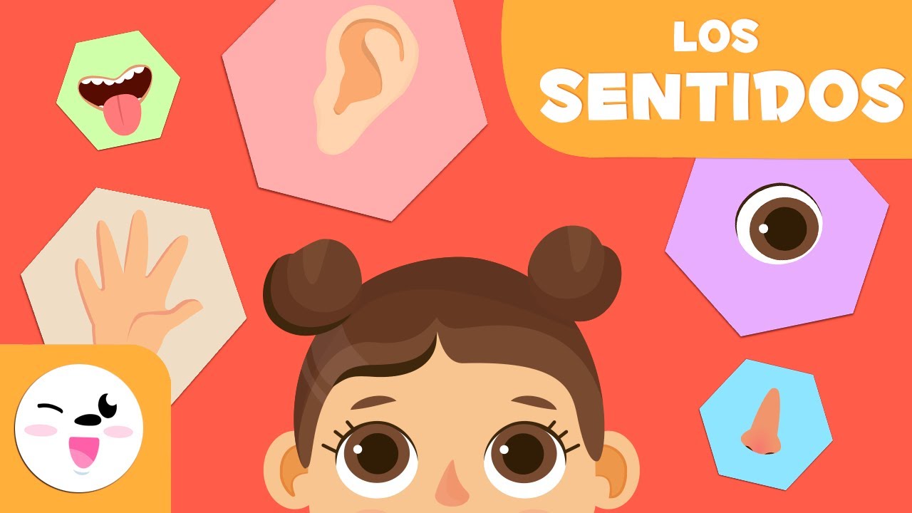 importancia de los sentidos para niños