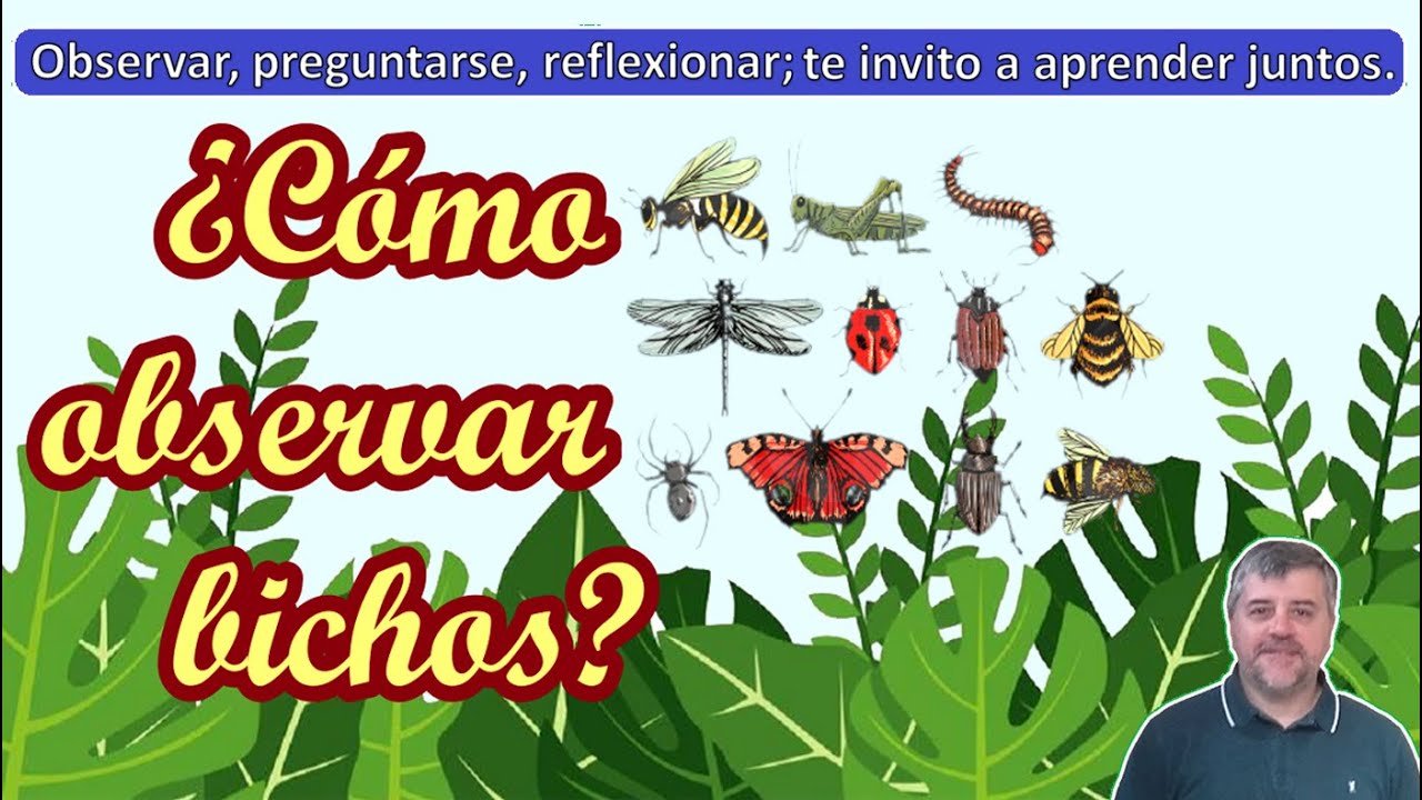 instrumentos para contar plantas y animales pequeños
