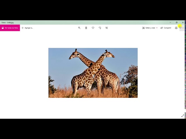 monografia de animales en peligro de extincion