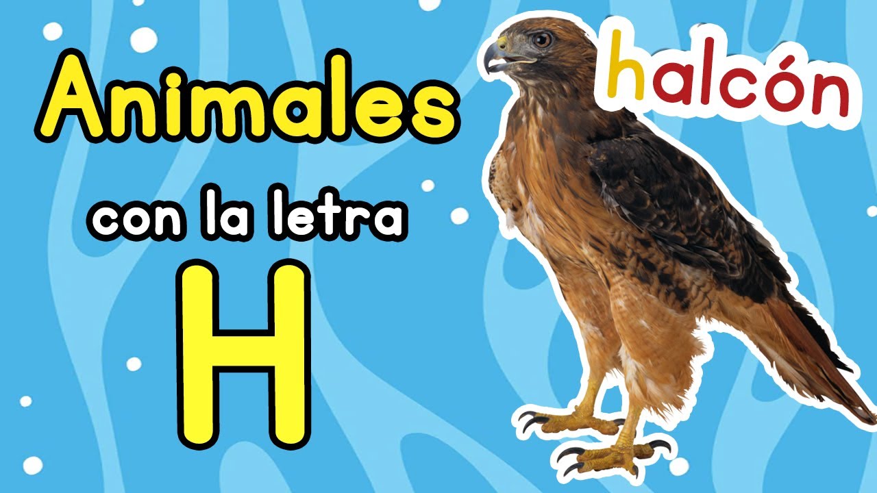 nombres de animales con la letra h