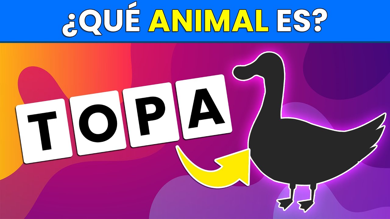 ordena las letras y encuentra el nombre de animales