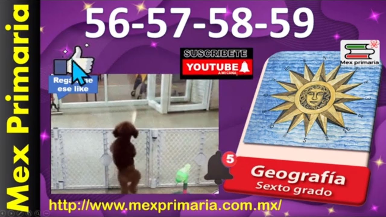 pagina 56 de geografia sexto grado
