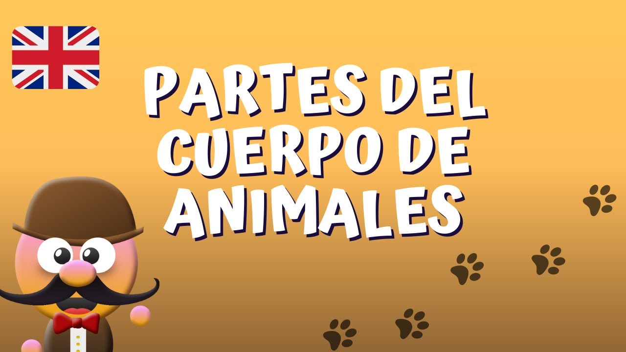 parte blanda del cuerpo de los animales