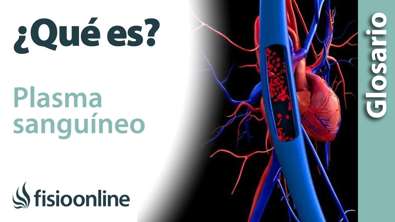 que es la plasma en la sangre