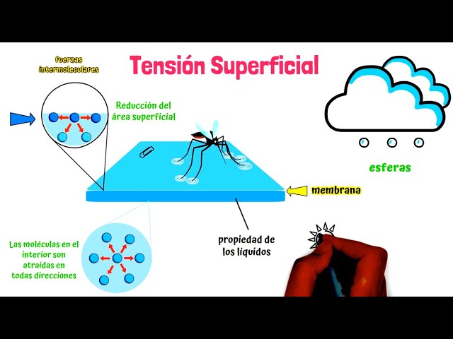 qué es tensión superficial en física
