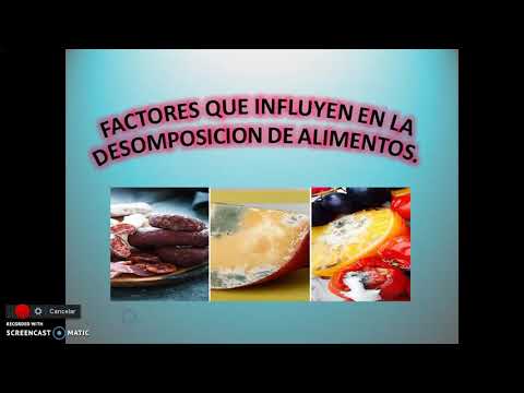 que factores influyen en la descomposicion de los alimentos