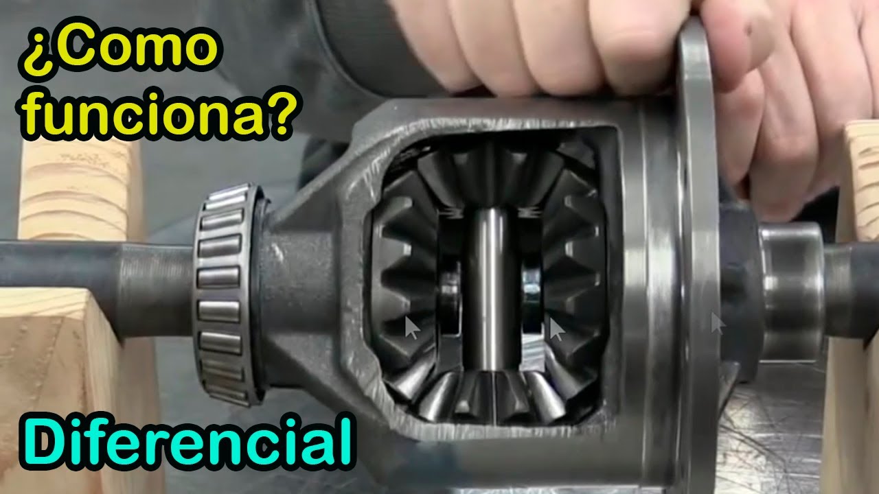 que rueda o gira sobre su eje