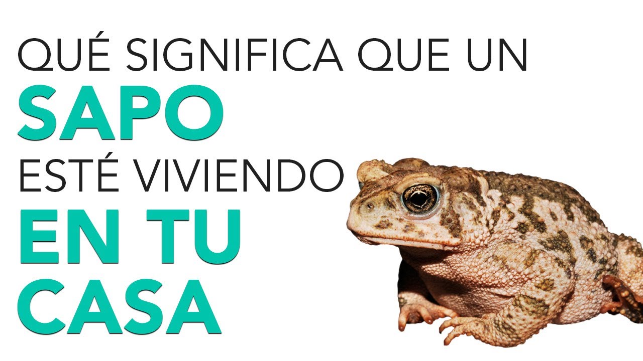 que significa un sapo en tu casa