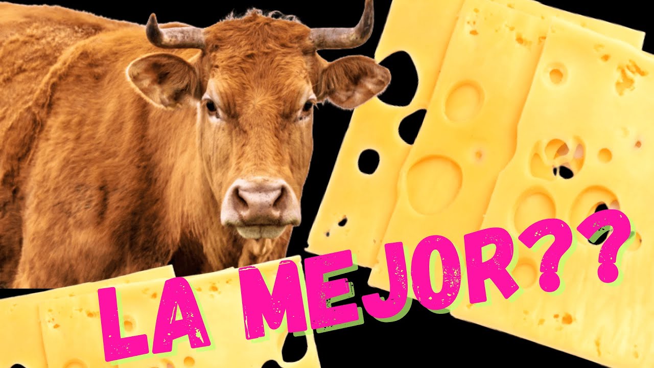 que tipo de animal es la vaca