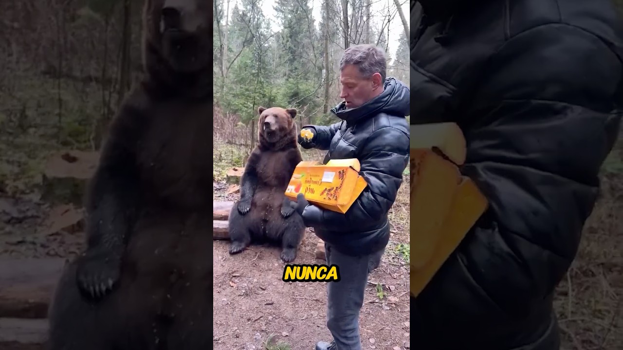 quien se chifla por la miel es perezoso y goloso