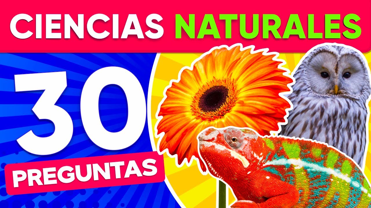 respuestas de ciencias naturales quinto grado