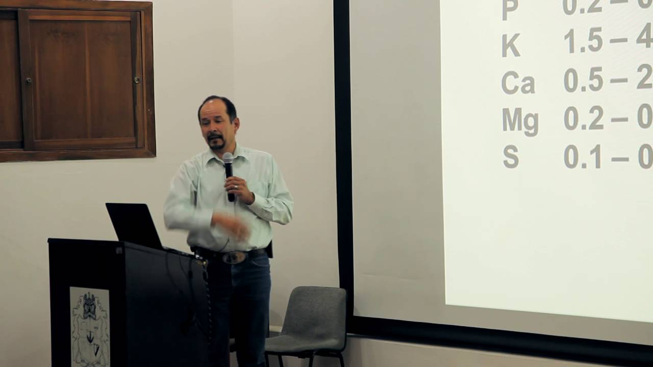 tipo de nutrición de las flores