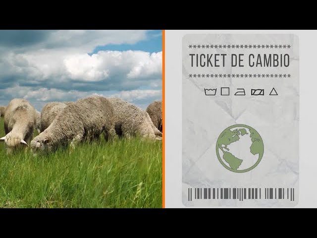 10 materias primas de origen animal