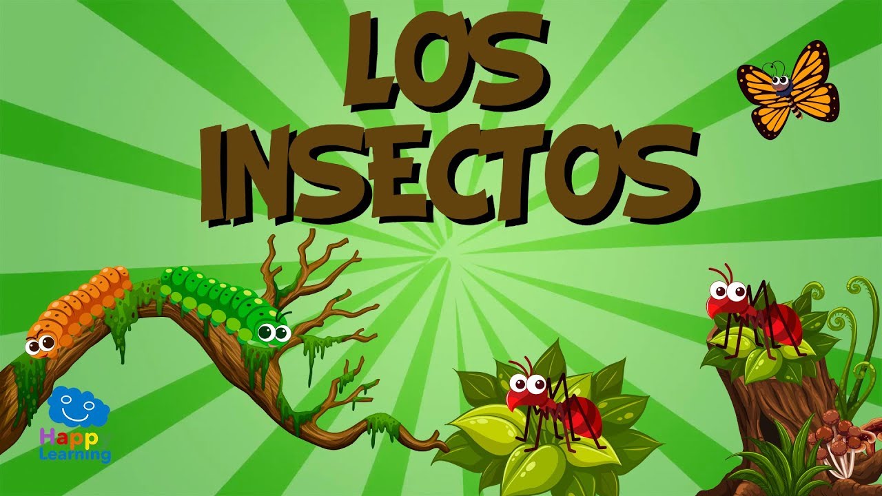 actividades con insectos para niños de preescolar