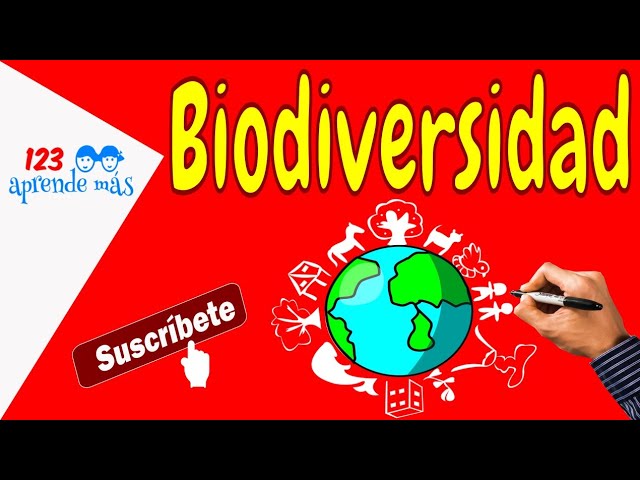 actividades de biodiversidad para niños de primaria