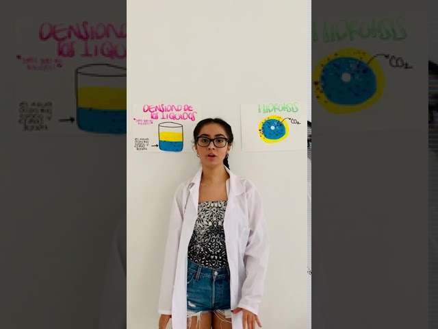 conclusion del experimento lampara de lava