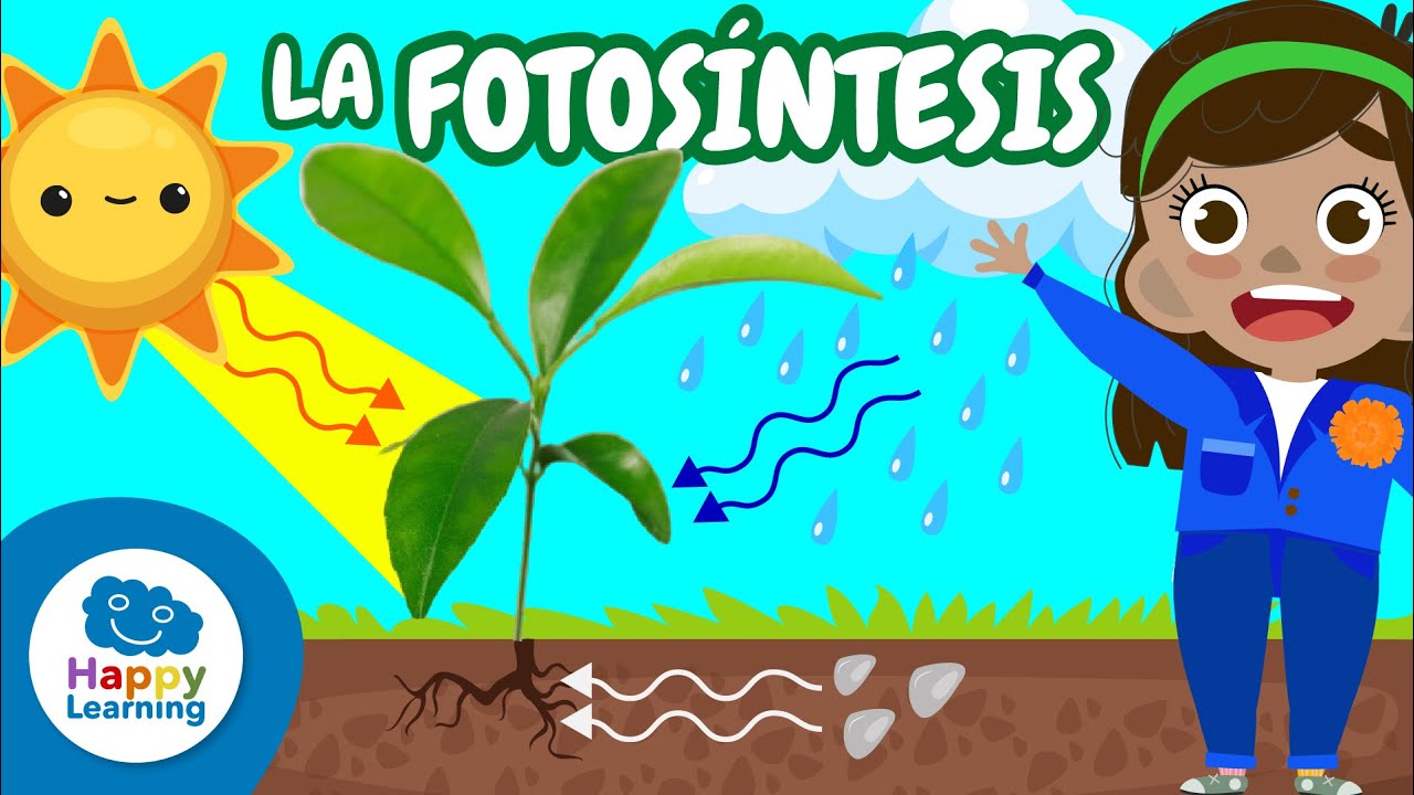 cual es el alimento de las plantas