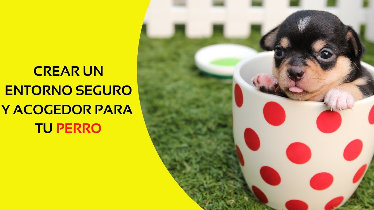 cual es el hábitat de los perros