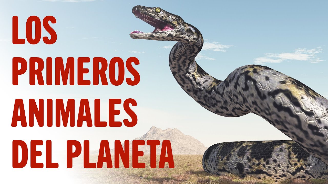 cuales fueron los primeros animales que se domesticaron