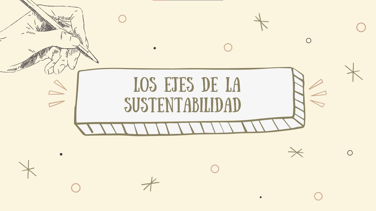 cuales son los ejes de sustentabilidad