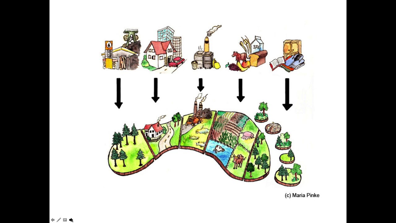 de donde se obtienen las materias primas